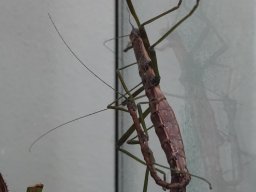 Haus des Meeres 13.03.2026